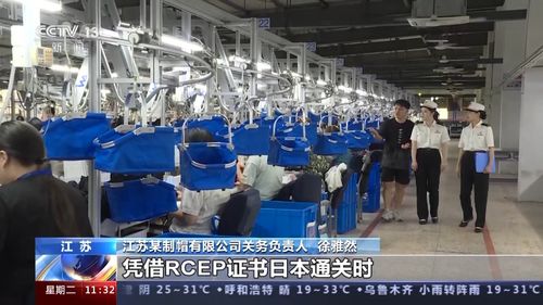 前7個月我國外貿運行平穩，貨物貿易進出口總值達23.55萬億元