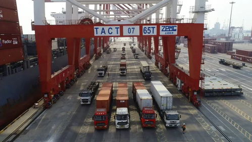 進口美國紙箱的海運提貨與清關(guān)代理全攻略